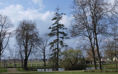 Pałac neoklasycystyczny w miejscowości Brzeźno 9