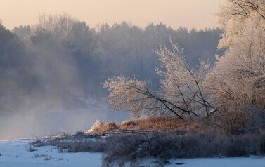 Dzbądzek, Narew i mgła&hellip; 1