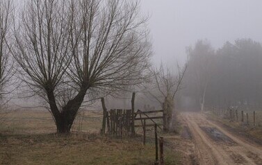 Dzbądzek, Narew i mgła&hellip; 2