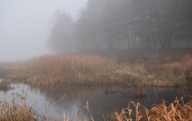 Dzbądzek, Narew i mgła&hellip; 8