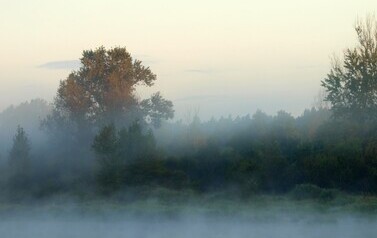 Dzbądzek, Narew i mgła&hellip; 11