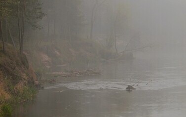 Dzbądzek, Narew i mgła&hellip; 12