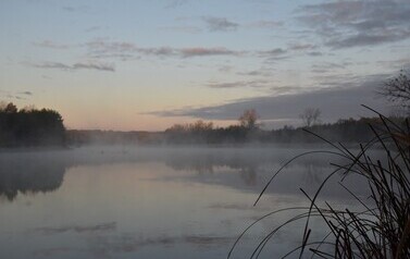 Dzbądzek, Narew i mgła&hellip; 15