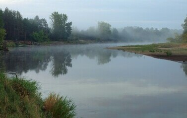 Dzbądzek, Narew i mgła&hellip; 16