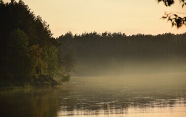 Dzbądzek, Narew i mgła&hellip; 18