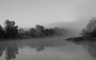 Dzbądzek, Narew i mgła&hellip; 19