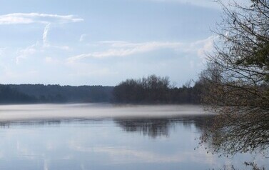 Dzbądzek, Narew i mgła&hellip; 20