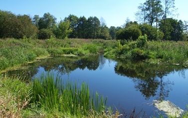 ORZ &ndash; rzeka kaskadą płynących obraz&oacute;w 3