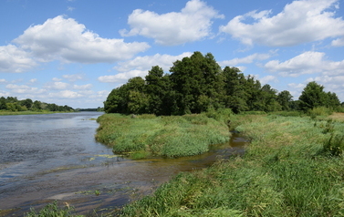ORZ &ndash; rzeka kaskadą płynących obraz&oacute;w 9
