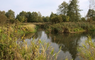 ORZ &ndash; rzeka kaskadą płynących obraz&oacute;w 14
