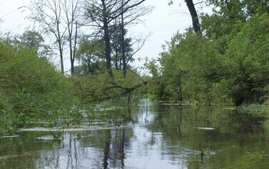 ORZ &ndash; rzeka kaskadą płynących obraz&oacute;w 18