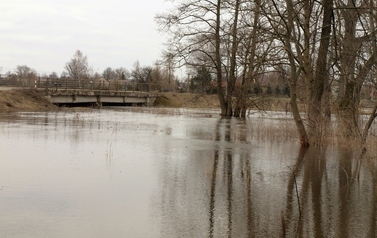 ORZ &ndash; rzeka kaskadą płynących obraz&oacute;w 31