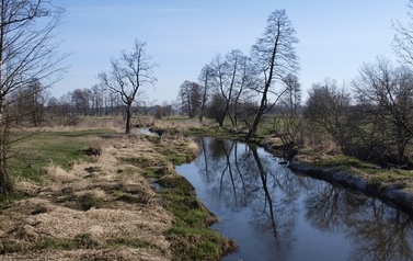 ORZ &ndash; rzeka kaskadą płynących obraz&oacute;w 32