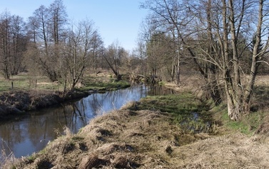 ORZ &ndash; rzeka kaskadą płynących obraz&oacute;w 33