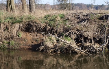 ORZ &ndash; rzeka kaskadą płynących obraz&oacute;w 34