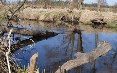 ORZ &ndash; rzeka kaskadą płynących obraz&oacute;w 35