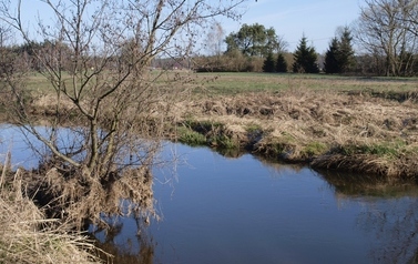 ORZ &ndash; rzeka kaskadą płynących obraz&oacute;w 36