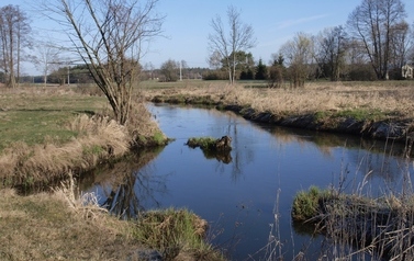 ORZ &ndash; rzeka kaskadą płynących obraz&oacute;w 38