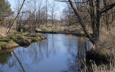 ORZ &ndash; rzeka kaskadą płynących obraz&oacute;w 39