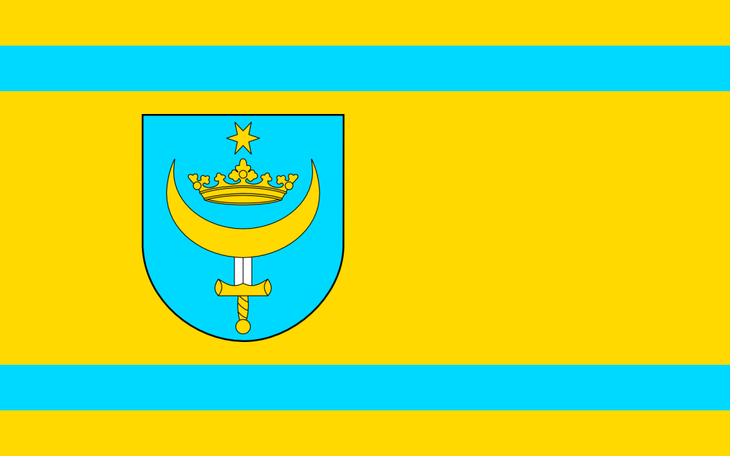 Flaga na&nbsp;ż&oacute;łtym tle z&nbsp;dwoma poziomymi, turkusowymi pasami przy g&oacute;rnej i&nbsp;dolnej krawędzi. W centrum znajduje się turkusowa tarcza z&nbsp;czarnym obrysem, na&nbsp;kt&oacute;rej umieszczono złote symbole: u g&oacute;ry sześciopromienną gwiazdę, poniżej koronę, pod nią p&oacute;łksiężyc zwr&oacute;cony rogami ku g&oacute;rze, a&nbsp;przez jego środek biegnie pionowo miecz skierowany ostrzem w&nbsp;d&oacute;ł. Układ element&oacute;w jest symetryczny i&nbsp;nawiązuje do heraldyki Gminy Goworowo.