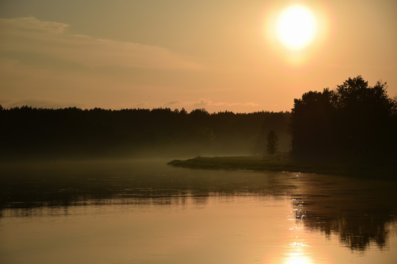 Zdjęcie przedstawia spokojny krajobraz nad rzeką Narew w okolicy miejscowości Dzbądzek o zachodzie słońca. Wysoko nad horyzontem świeci intensywne słońce, kt&oacute;rego złociste światło odbija się w tafli wody, tworząc połyskującą smugę na&nbsp;powierzchni. Na drugim planie widać ciemny pas lasu i pojedyncze drzewa na&nbsp;brzegu, częściowo spowite lekką mgłą. Cała scena utrzymana jest w ciepłych odcieniach złota i brązu, nadających jej spokojny, nastrojowy charakter.
