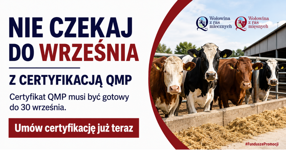 Grafika przedstawia kilka kr&oacute;w stojących na&nbsp;ogrodzonym wybiegu gospodarstwa, z&nbsp;budynkiem obory w&nbsp;tle. Po lewej stronie widnieje tekst zachęcający producent&oacute;w wołowiny do wcześniejszego uzyskania certyfikacji QMP, z&nbsp;informacją o&nbsp;terminie oraz&nbsp;wezwaniem do um&oacute;wienia certyfikacji. W prawym g&oacute;rnym rogu znajdują się dwa logotypy dotyczące wołowiny z&nbsp;ras mlecznych i&nbsp;mięsnych. Całość ma charakter informacyjny i&nbsp;promuje certyfikację jakości wołowiny.