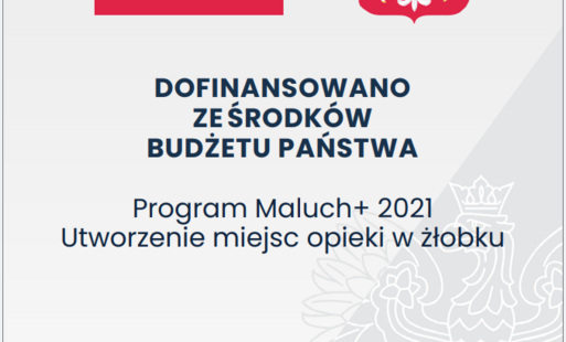 Plakat informacyjny o białym tle przedstawia w górnej części dwie oficjalne grafiki: po lewej flagę Polski, a po prawej godło państwowe z białym orłem na czerwonym tle. Pod nimi znajduje się duży, wyśrodkowany napis „Dofinansowano ze środków budżetu państ