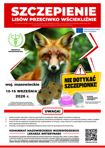 Plakat informacyjny dotyczący szczepienia lis&oacute;w przeciwko wściekliźnie na terenie wojew&oacute;dztwa mazowieckiego. Centralnym elementem grafiki jest duże, wyraźne zdjęcie dorosłego lisa rudego, patrzącego prosto w obiektyw. Zwierzę jest dobrze oświetlone, widoc