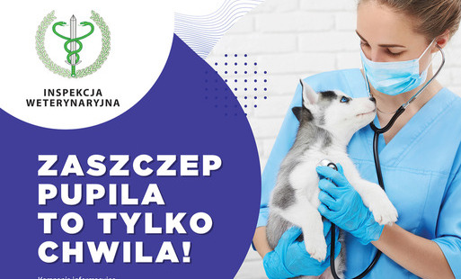Plakat informacyjny Inspekcji Weterynaryjnej zachęcający do obowiązkowego szczepienia psów przeciwko wściekliźnie. Na środku widoczny jest weterynarz w niebieskich ubraniu medycznym, rękawiczkach i maseczce, trzymający na rękach małego szczeniaka husky. W tle jasne, jednolite tło. Po lewej stronie znajdują się logotypy instytucji. Tekst na plakacie wyjaśnia, że szczepienie psów przeciwko wściekliźnie jest obowiązkowe, opisuje terminy pierwszego i kolejnych szczepień oraz wskazuje, że wykonują je lekarze weterynarii w lecznicach. Na dole po prawej stronie widoczny jest zdjęcie kota. Plakat zawiera również dane organizatora akcji – Mazowieckiego Wojewódzkiego Lekarza Weterynarii w Siedlcach.